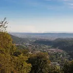L'arbo * Andorno Micca