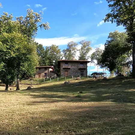 L'arbo Domek alpejski *