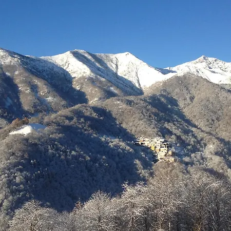 L'arbo * Andorno Micca