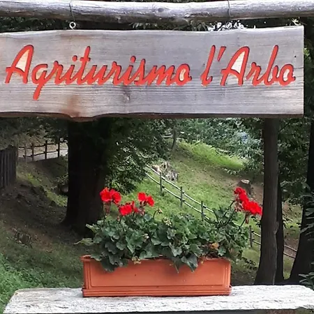 Alpesi faház L'arbo Andorno Micca