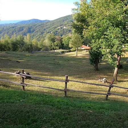 L'arbo *