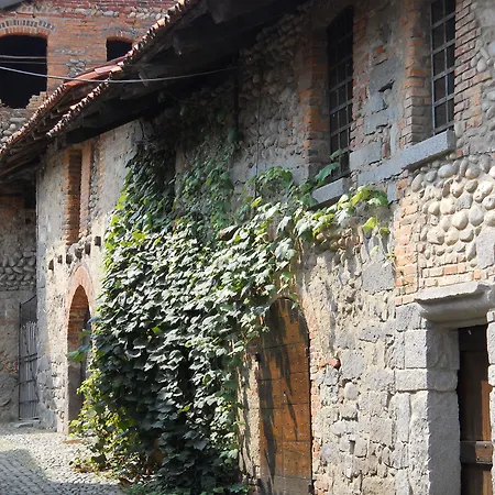 L'arbo Andorno Micca