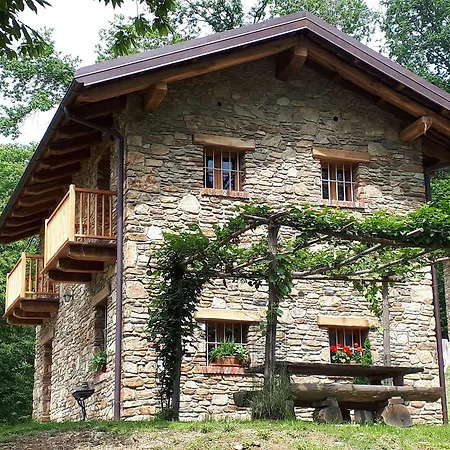 L'arbo * Andorno Micca