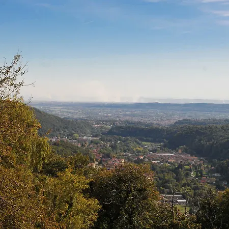 L'arbo * Andorno Micca